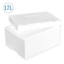 Thermobox Styrofoam box 17 liter cooling box shipping...