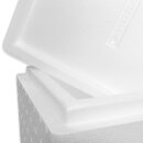 Thermobox Styrofoam Box 4 liters Cooler Shipping Container for Food, Drinks, Medications - Styrofoam made of EPS - reusable Insulated Box