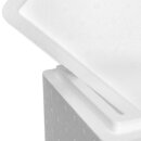 Thermobox Styrofoam box 8,2 liter cooler box shipping container for food, drinks, medication - Styrofoam made of EPS - reusable insulated box