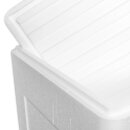 Thermobox Styrofoam box 34 liter cooler box shipping container for food, drinks, medication - Styrofoam made of EPS - reusable insulated box